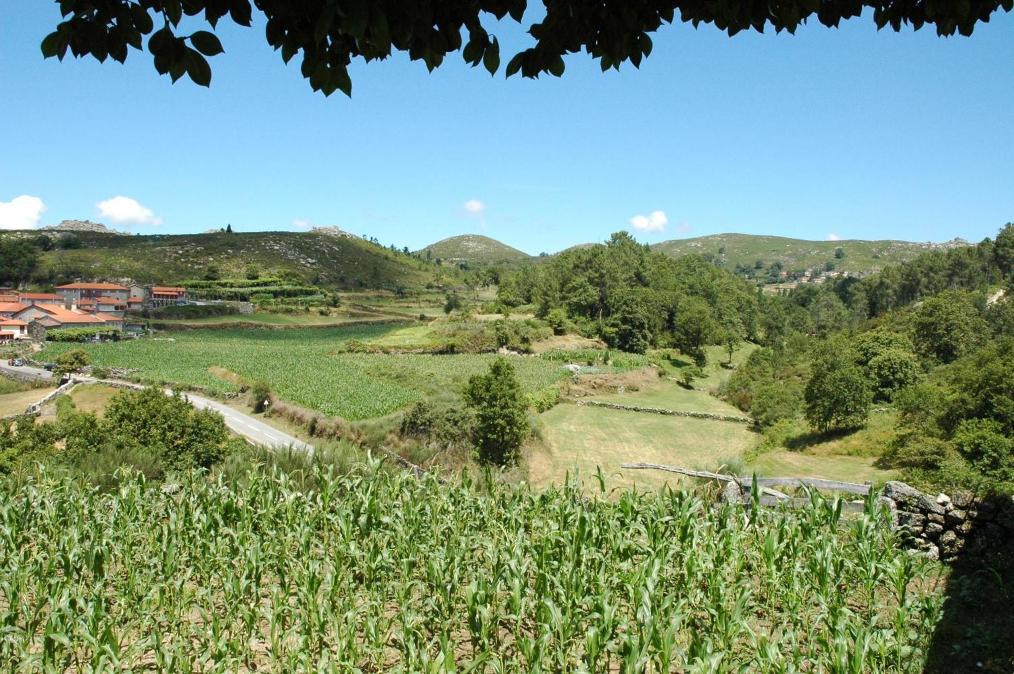 Casa De Campo Monte Abades Terras de Bouro Eksteriør billede