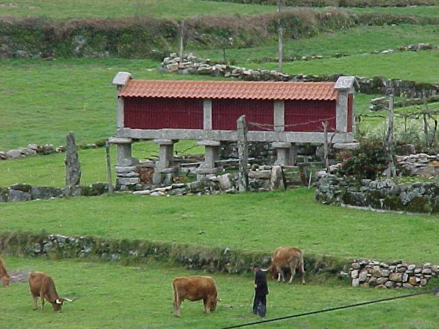 Casa De Campo Monte Abades Terras de Bouro Eksteriør billede